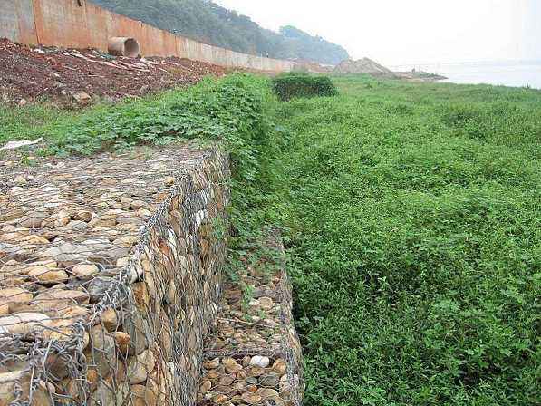 河道护坡雷诺护垫